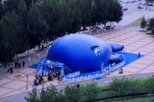 1000000颗海洋球免费玩 还有超大泳池 充气滑梯 沙滩躺椅 仿真椰子树的海滩乐园