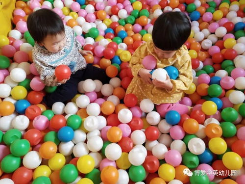 海洋球里欢乐多